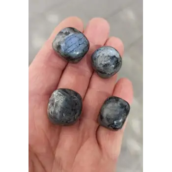 50 Gram Larvikite Taşı Tamburlu Parçalar Siyah Labradorit 664