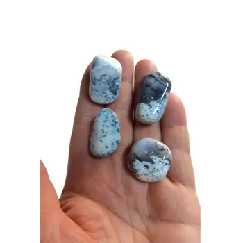 50 Gram Merlinit Dendritli Opal Tamburlu Parçalar 239-2