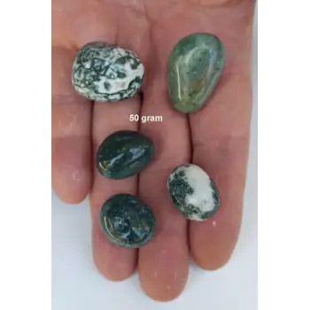 50 Gram Yosunlu Akik Tamburlu Parçalar 117