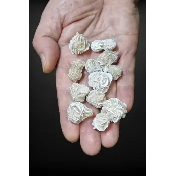 50 Gram Çöl Gülü Sabır Taşı Peru 219-3