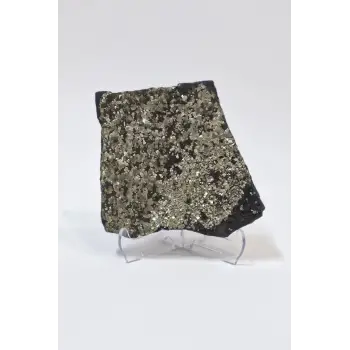 Yoğun Piritli Şungit Koleksiyonluk Doğal Parça 8PS