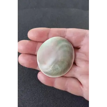 Büyük Boy Doğal Yılancık Taşı Operculum 222Y