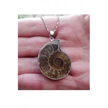 Amonit Fosili Kolye 448