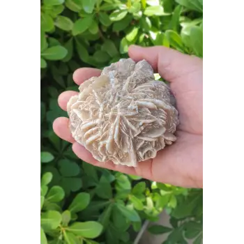 Çöl Gülü Sabır Taşı Doğal Parça Peru 32CG