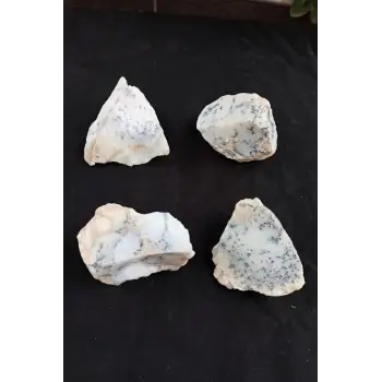 Dendritli Opal Merlinit Doğal Parça 10-MR