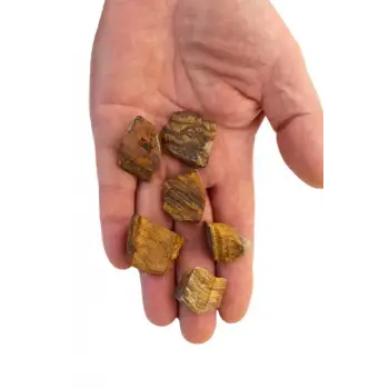 Doğal Kaplangözü Küçük Parçalar 50 Gram 430-2