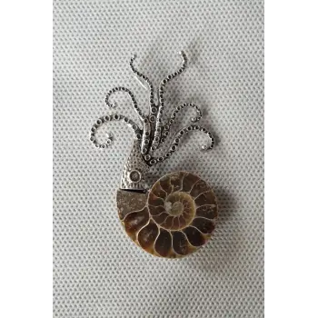 Gerçek Amonit Fosili Benzersiz Broş BR10-9