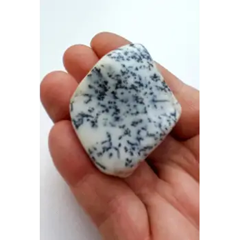 Merlinit Dendritli Opal Tamburlu Parça 133