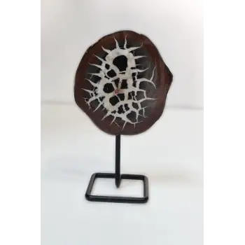 Ortadan Kesilmiş Siyah Septeryan Dekoratif Parça 31SS