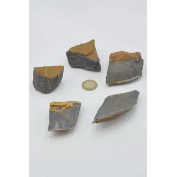 Siyah Kaplangözü Doğal Kütle 32-SK