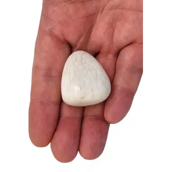 Skolite - Scolecite Tamburlu Parça 119-2