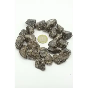 Turtella Akik Tamburlu Parça 342