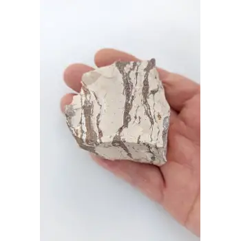 Zebra Jasper Doğal Kütle-31-ZJ