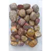 50 Gram Leopar Jasper Tamburlu Parçalar 524