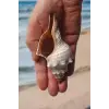 Büyük Boy Deniz Kabuğu Horse Conch 10HC