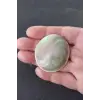 Büyük Boy Doğal Yılancık Taşı Operculum 222Y