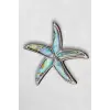 Abalon Shell Deniz Yıldızı Motifi Sedef Broş BR10-10