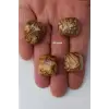 Ağaç Desenli Jasper 50 Gram Tamburlu Parçalar 547