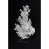 Beyaz Mercan Dalı, Dekoratif Doğal Parça 8DM