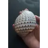 Çok Güzel Deniz Kabuğu Tonna Marginata 8TM