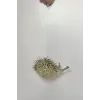 Dikenli Balon Balığı Fugu Fish