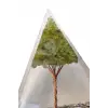 Orgonit Piramit Turmalin Ve Peridot Taşlı 32OP