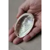 Orta Boy Abalone Shell Renkli Istiridye Kabuğu 116-2