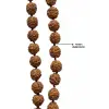 Rudrakşa 54 Taneli Yarım Mala Unisex Kolye Tesbih Hindistan Rudraksha 101YM