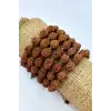 Rudrakşa Bileklik Orjinal Hindistan  Rudraksha 122