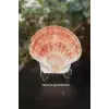 Scallop Shell Deniz Kabuğu Büyük Boy 6-SS