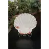 Scallop Shell Deniz Kabuğu Büyük Boy 6-SS
