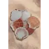 Scallop Shell Deniz Kabuğu Büyük Boy 6-SS