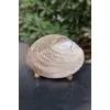 Sedefli İstiridye Kabuğu Standlı Büyük Boy 18-SI