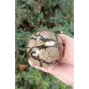 Septeryan Taşı Dekoratif Küre SP18