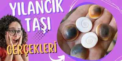 Video: Yılancık Taşı Gerçekleri - Size Söylenmeyenler!