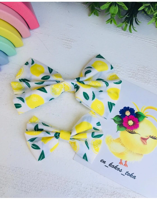 Anne-Kız Fiyonk Toka