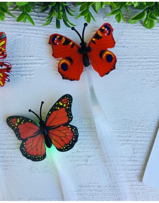 Işıklı Kelebek Pens Tokalar