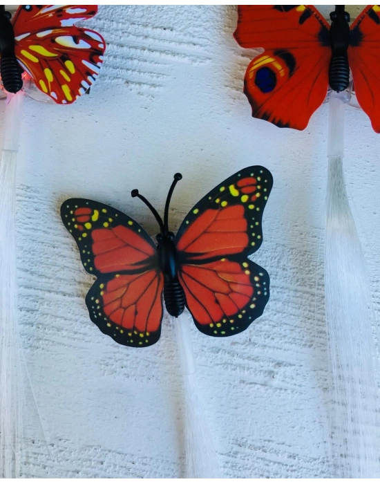 Işıklı Kelebek Pens Tokalar