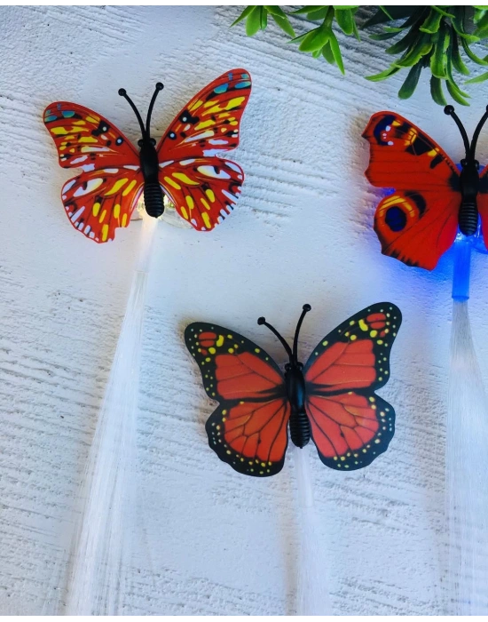 Işıklı Kelebek Pens Tokalar