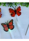 Işıklı Kelebek Pens Tokalar