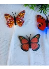 Işıklı Kelebek Pens Tokalar