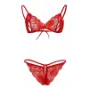 Kırmızı Dantelli Fantazi Sütyen ve G-String Takım DM2048