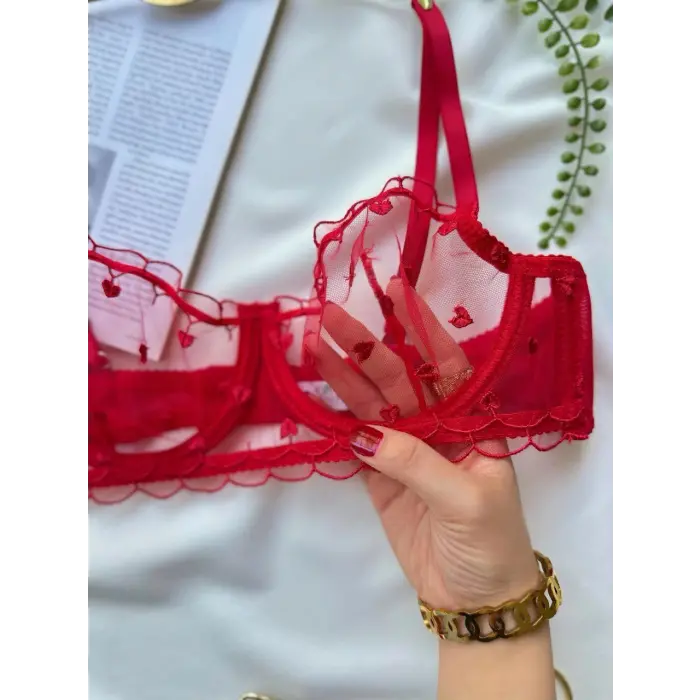 À Cœurs Rouges Dantel Transparan Bralet Sütyen Takımı DM1360