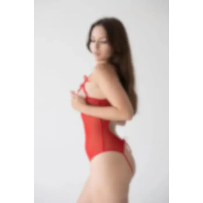 Rouge Ultra Transparan Bodysuit DM1292