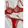 Cerise Rouge Dantel Transparan Bralet Sütyen Takımı DM1358