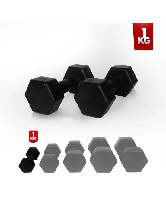 1 Kg Dambıl Seti (Demir Tozu) 2 Adet 1 Kg Dambıl