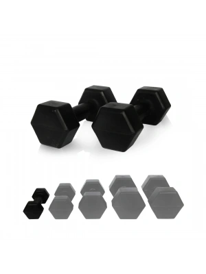 1 Kg Dambıl Seti (Demir Tozu) 2 Adet 1 Kg Dambıl