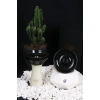 Bee Bowl