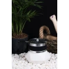 Renkli Lotus Yeşil