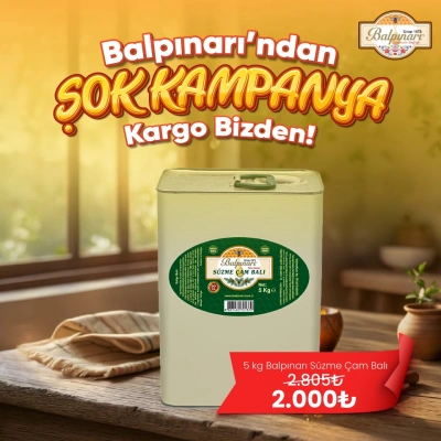Balpınarı Süzme Çam Balı (Plastik Kova/Teneke) 5 kg